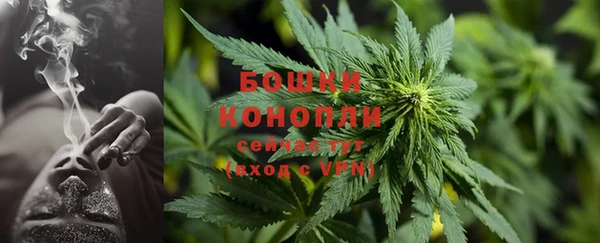 СК Касимов