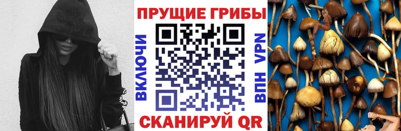 Псилоцибиновые грибы мицелий  Агидель 